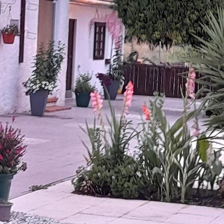 Casa Calado Villa Cadima Eksteriør bilde