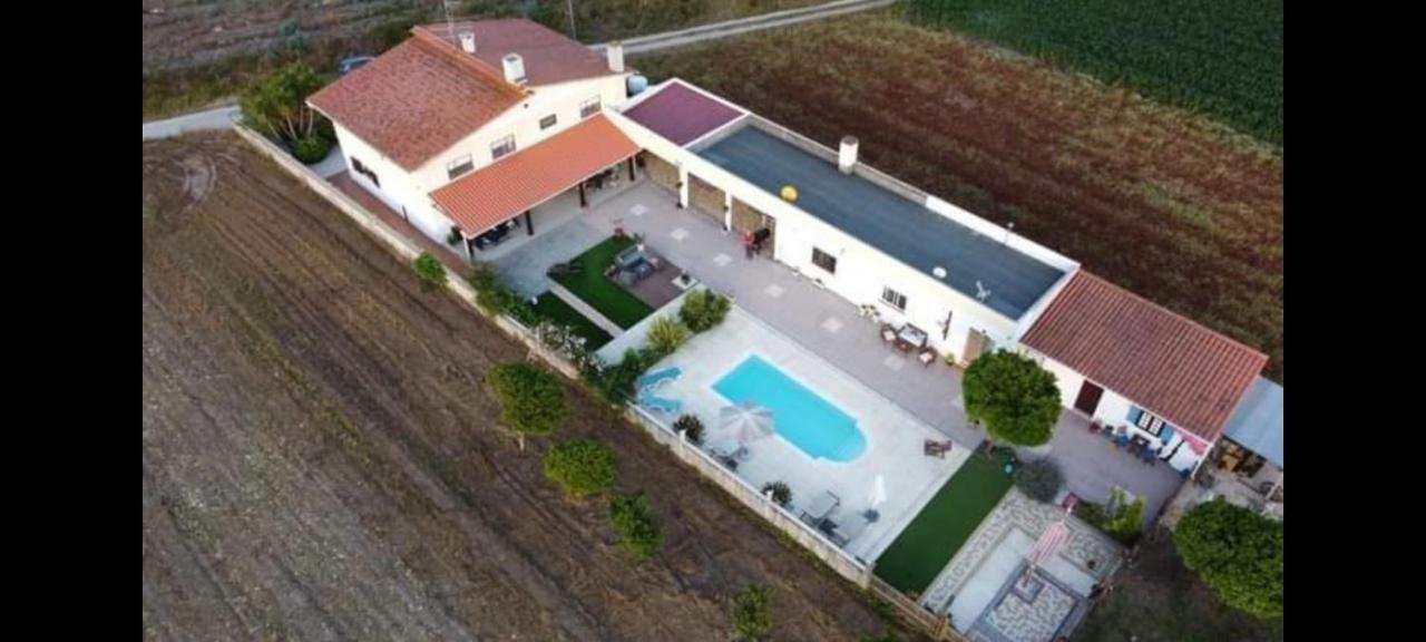 Casa Calado Villa Cadima Eksteriør bilde
