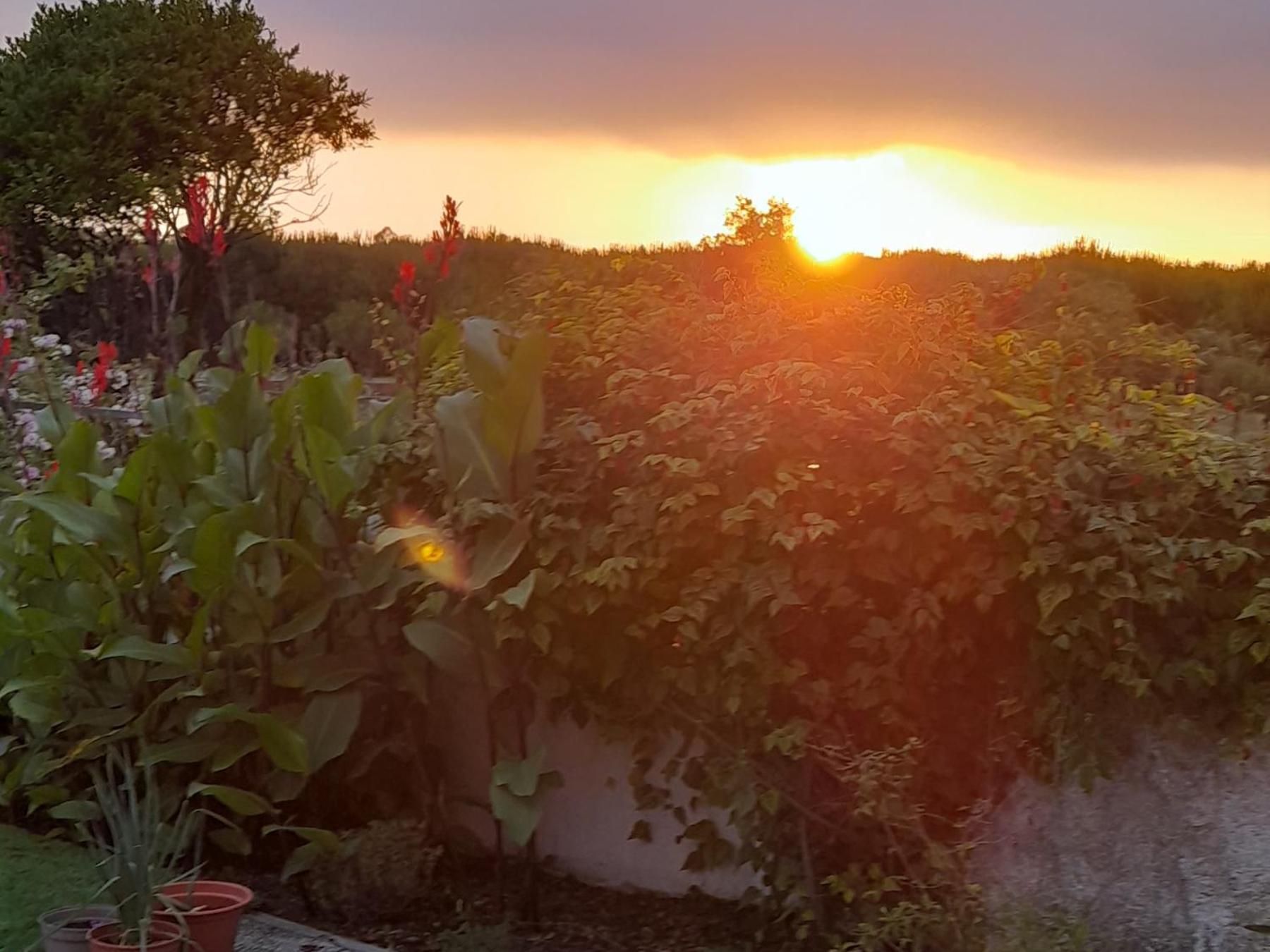 Casa Calado Villa Cadima Eksteriør bilde
